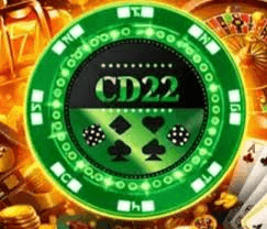 CD 22 Game